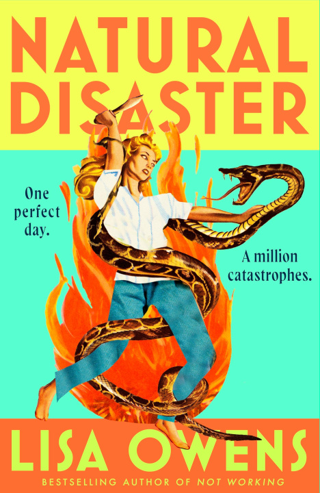 Buch Natural Disaster Lisa Owens