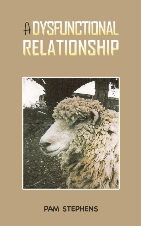 Kniha Dysfunctional Relationship Pam Stephens