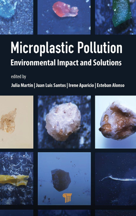Kniha Microplastic Pollution Juan Luis Santos