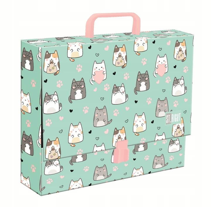 Libro Teczka z rączką A4 XL Charming Cats 