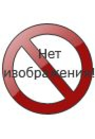 Kniha Спящие псы (Книга зеркал) Э.О. Чировици