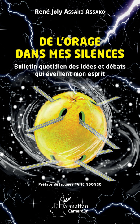 Kniha De l’orage dans mes silences Assako Assako
