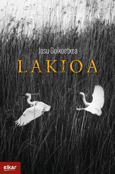 Kniha LAKIOA GOIKOETXEA GEZURAGA