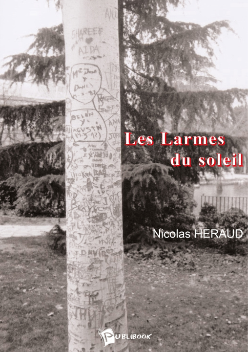 Knjiga Les Larmes du soleil Nicolas Héraud