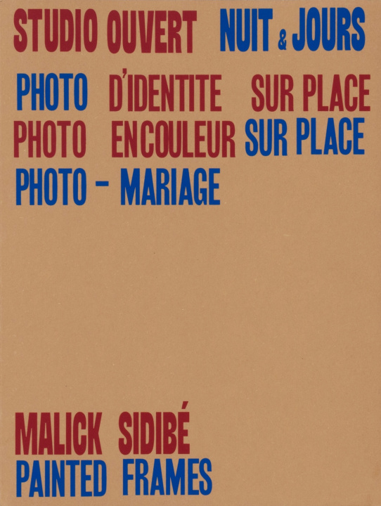 Kniha Painted Frames Malick
