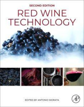 Kniha Red Wine Technology Antonio Morata