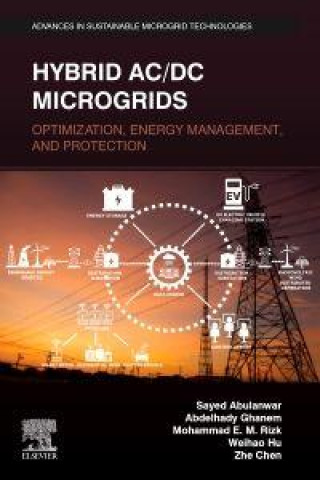 Kniha Hybrid AC/DC Microgrids Sayed Abulanwar
