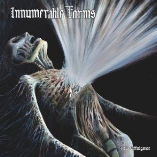 Audio Pain Effulgence Innumerable Forms