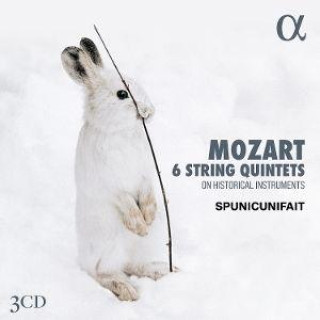 Áudio Mozart: 6 String Quintets On Historical Instruments 