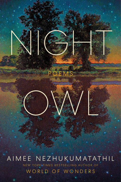 Kniha Night Owl NEZHUKUMATATHIL AIMEE