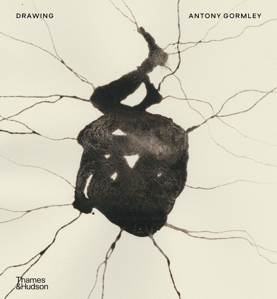 Buch Drawing GORMLEY/WINTERSON