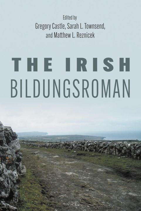 Buch Irish Bildungsroman Gregory Castle
