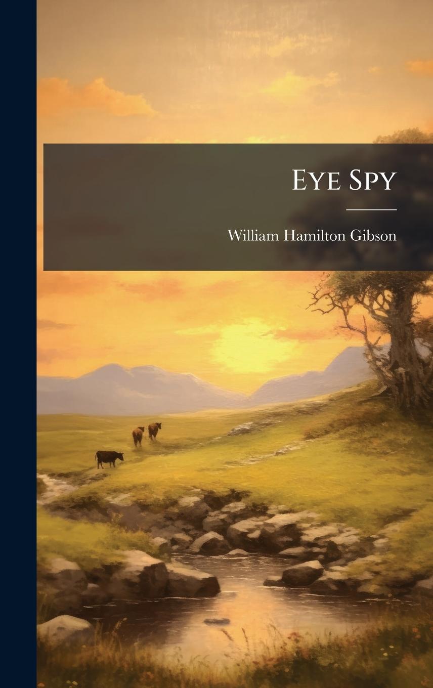 Kniha Eye Spy 