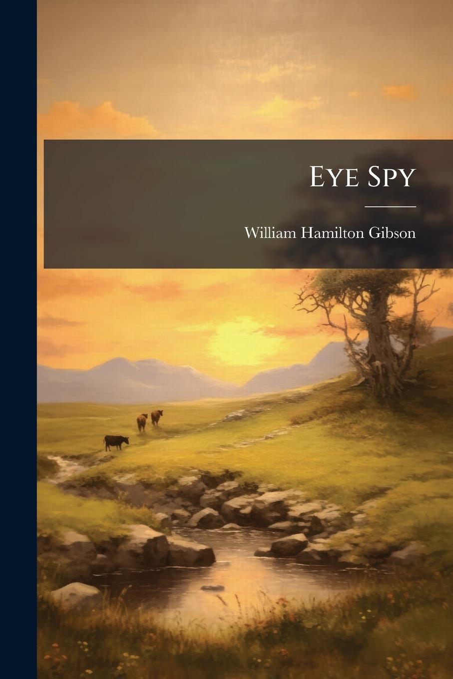 Kniha Eye Spy 