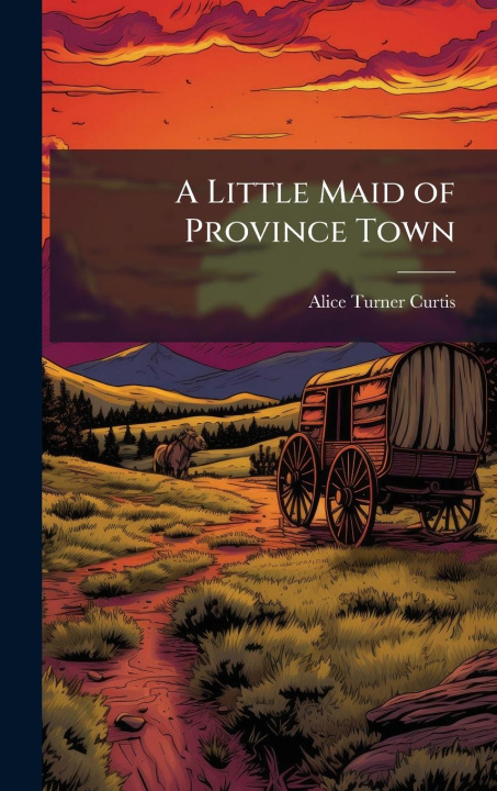 Kniha A Little Maid of Province Town 