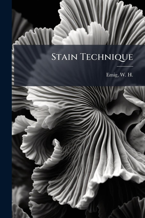 Kniha Stain Technique 