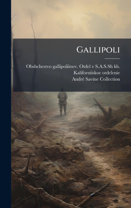 Книга Gallipoli 