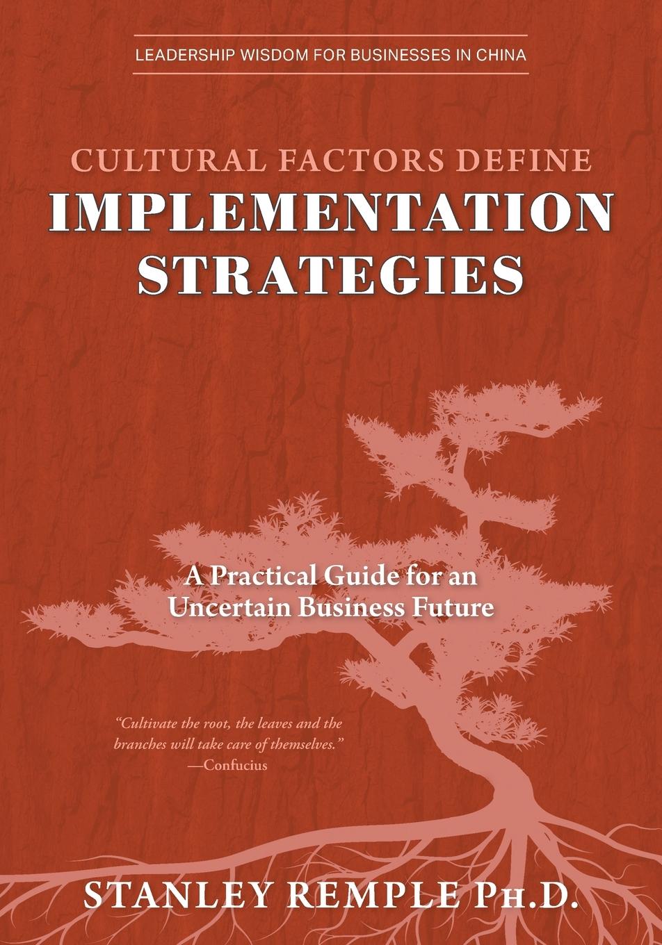 Knjiga Cultural Factors Define Implementation Strategies 