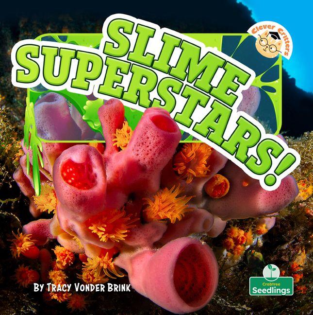 Kniha Slime Superstars! 