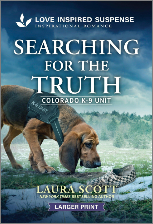 Book Searching for the Truth 