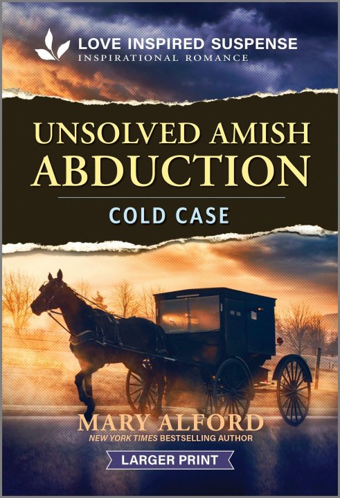 Kniha Unsolved Amish Abduction 