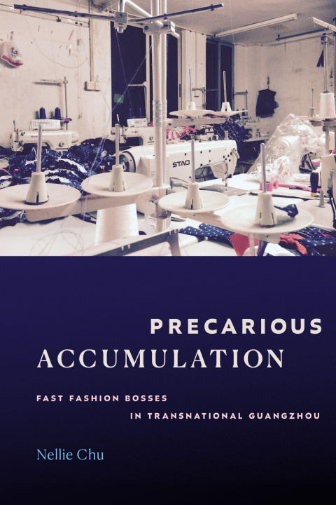 Kniha Precarious Accumulation Nellie Chu