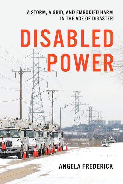 Kniha Disabled Power Angela Frederick