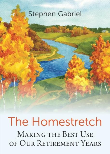Boek Homestretch Stephen Gabriel