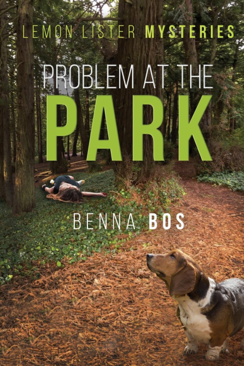 Kniha Problem At the Park 