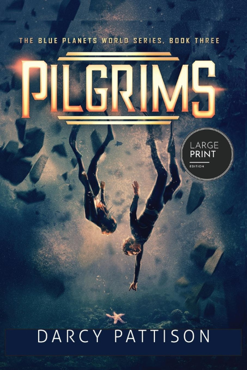 Kniha Pilgrims Darcy Pattison
