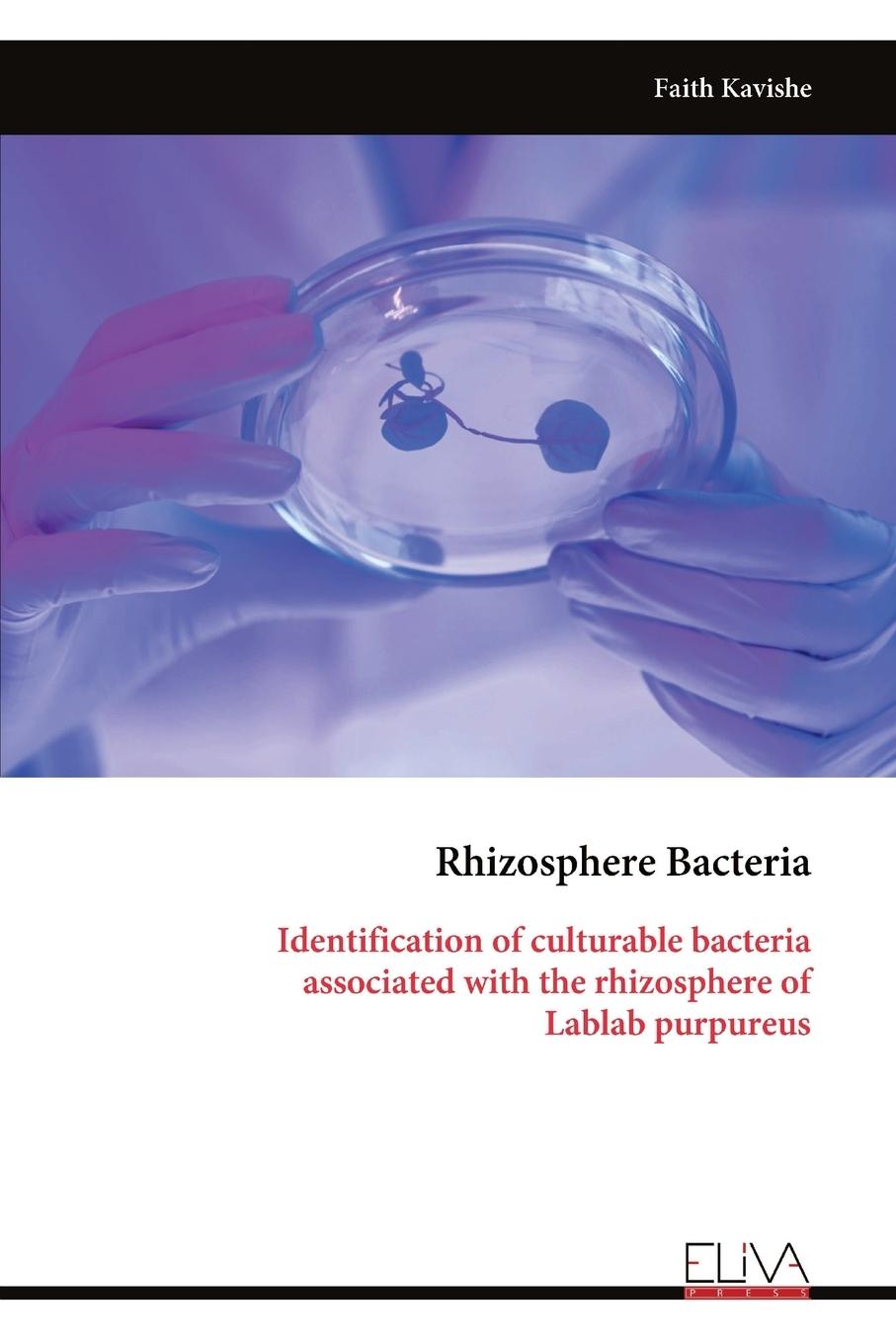 Kniha Rhizosphere Bacteria 