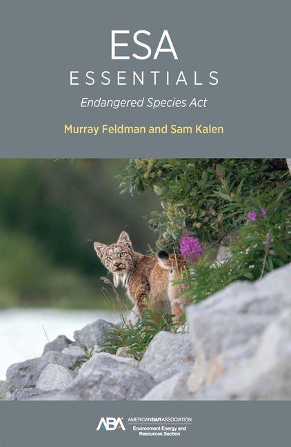 Kniha ESA Essentials Sam Kalen