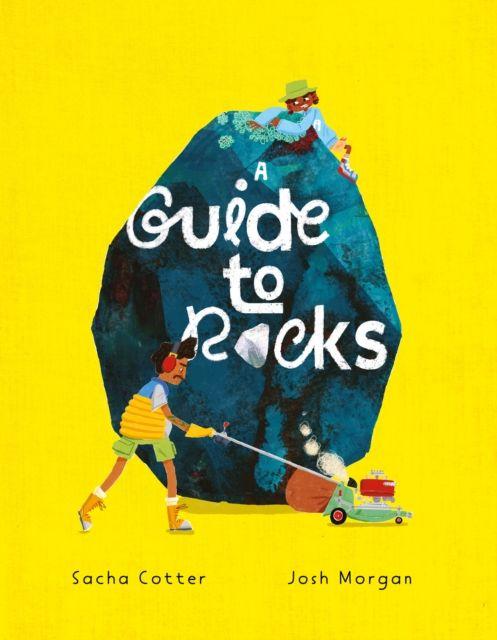 Knjiga Guide To Rocks Sacha Cotter