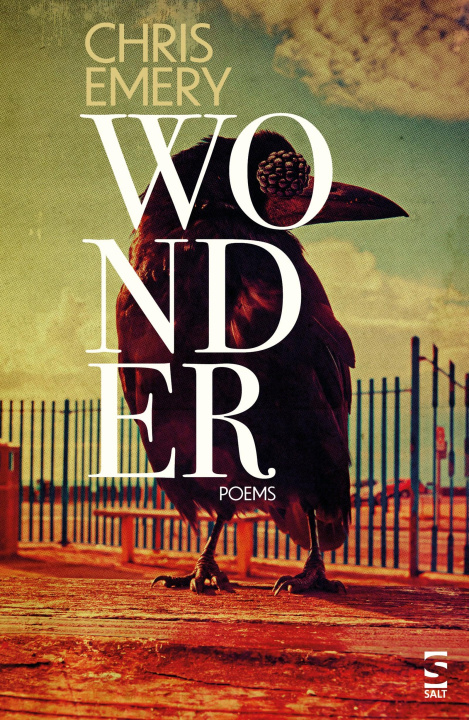 Buch Wonder Chris Emery
