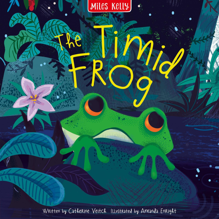Kniha Rainforest Timid Frog Miles Kelly