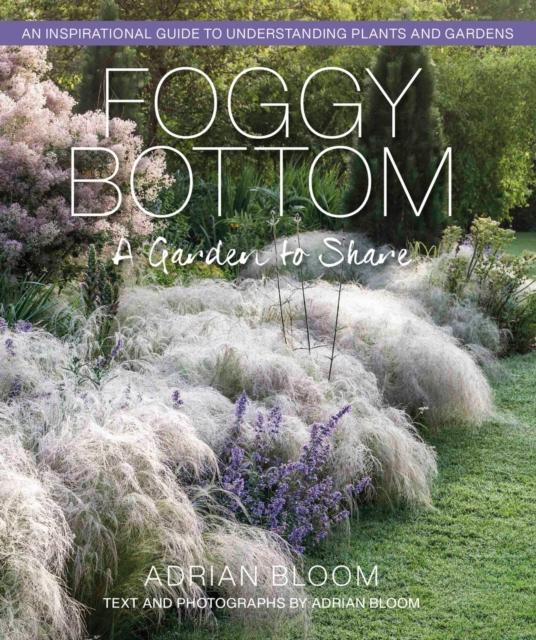 Libro Foggy Bottom Adrian Bloom