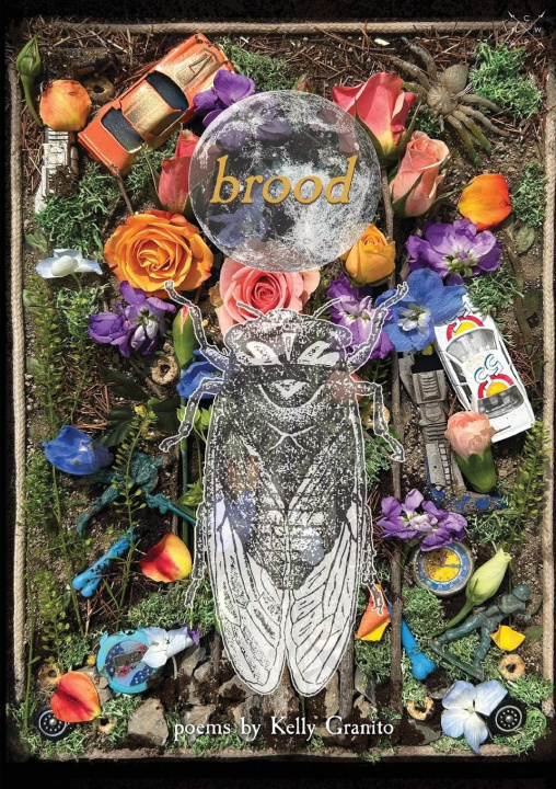 Knjiga Brood Kelly Granito