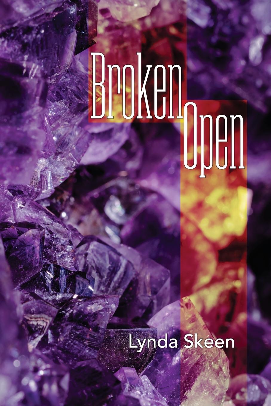 Knjiga Broken Open 