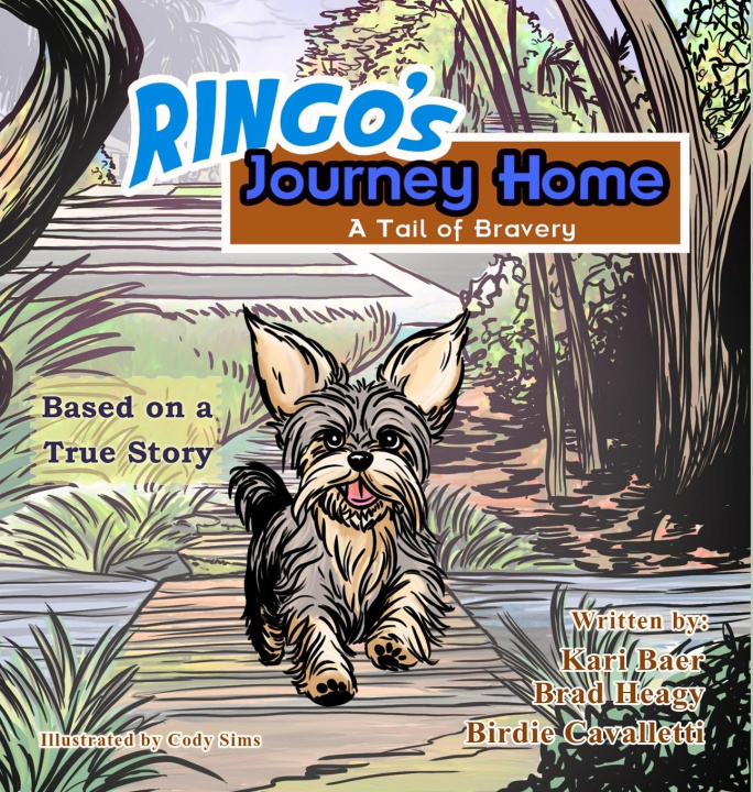 Kniha Ringo's Journey Home Brad Heagy