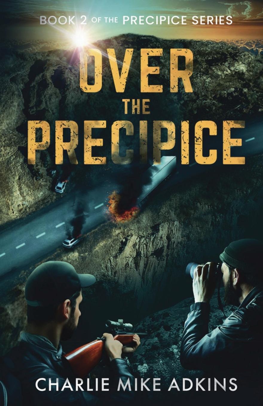 Book Over the Precipice 