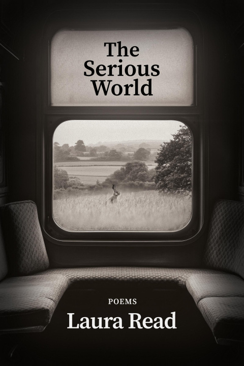 Boek The Serious World 