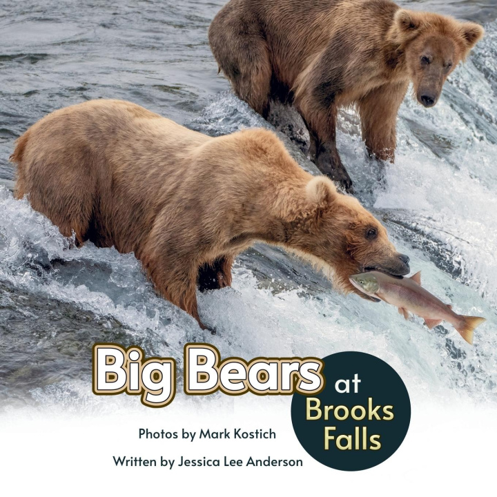 Boek Big Bears at Brooks Falls Jessica Lee Anderson