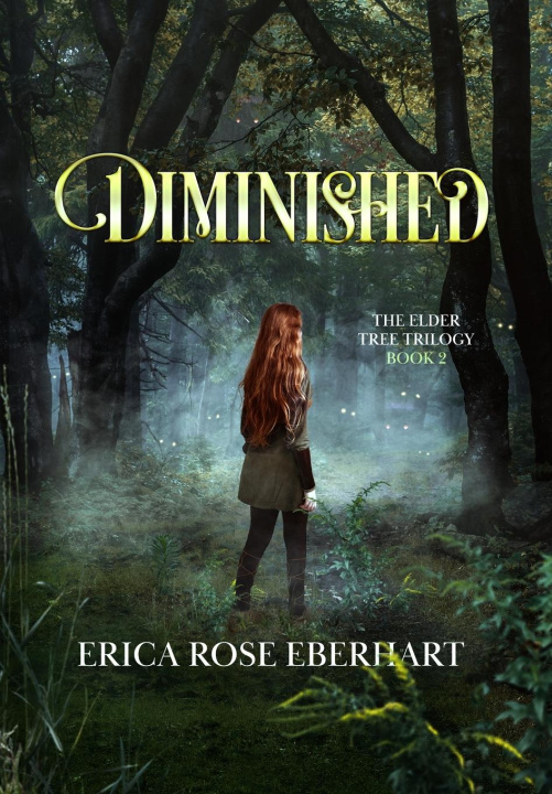 Knjiga Diminished 