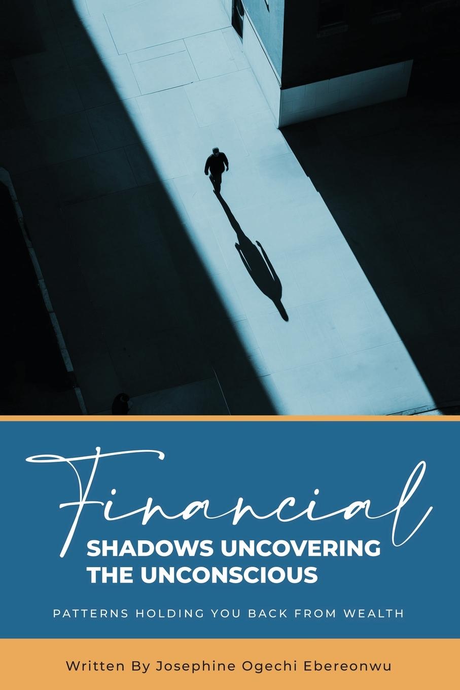 Knjiga Financial Shadows 