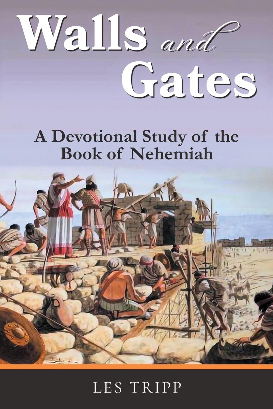 Kniha Walls and Gates 