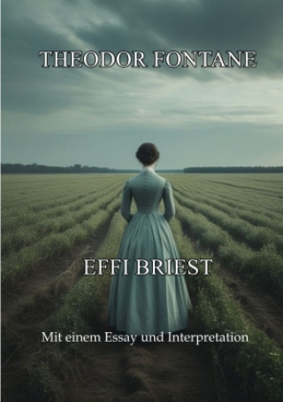 Buch Effi Briest Alexander Remde