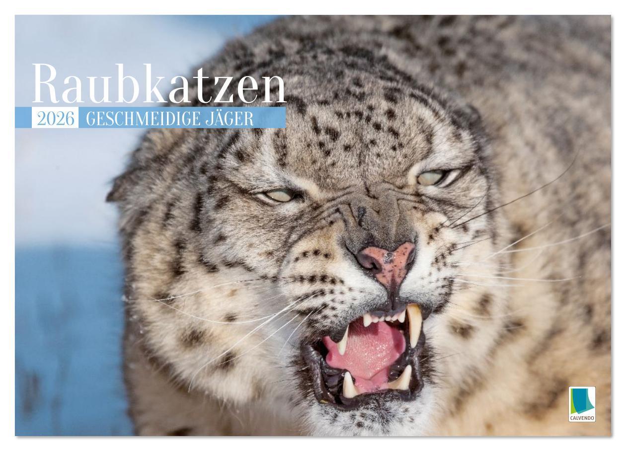 Kalendár/Diár Raubkatzen: Geschmeidige Jäger (Wandkalender 2026 DIN A3 quer), CALVENDO Monatskalender Calvendo