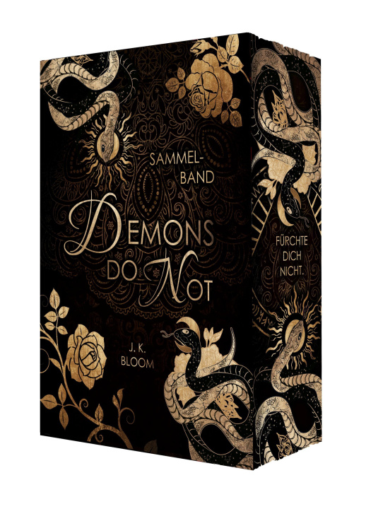 Kniha Demons do not J. K. Bloom