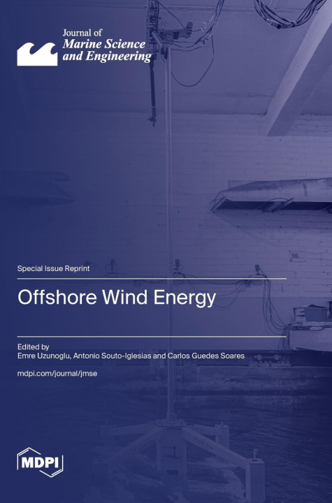 Kniha Offshore Wind Energy 