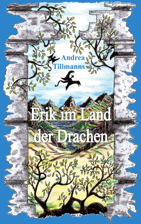 Book Erik im Land der Drachen Andrea Tillmanns